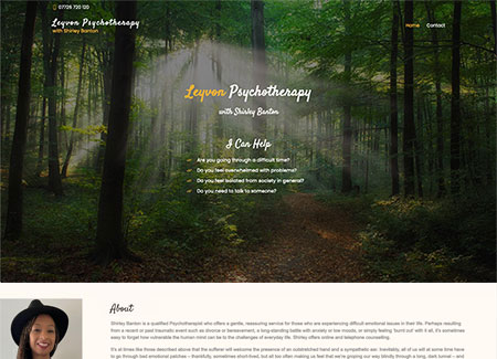 Bronze website example - Leyvon Psychotherapy