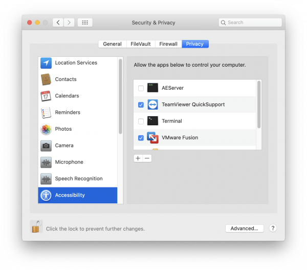TeamViewer Accessibility window